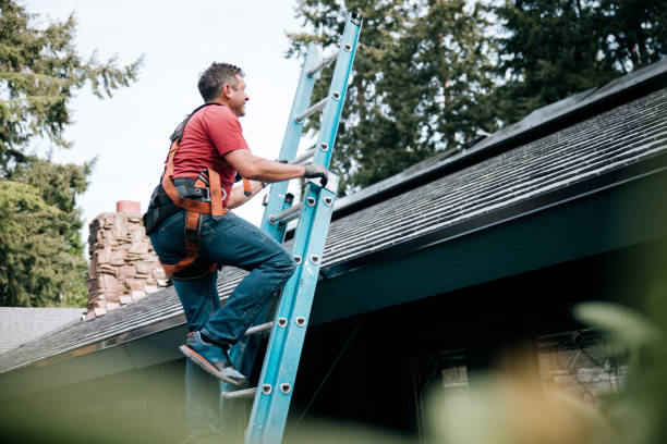 Professional Roofing Service  in South Gull Lake, MI